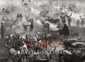 Africa. Ediz. multilingue