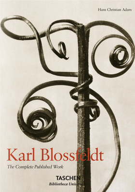 Karl Blossfeldt. L’incanto della flora. Ediz. italiana, spagnola e portoghese