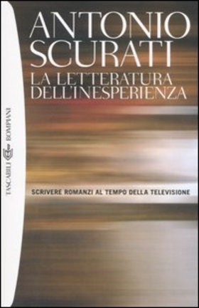 La letteratura dell’inesperienza. Scrivere romanzi al tempo della televisione