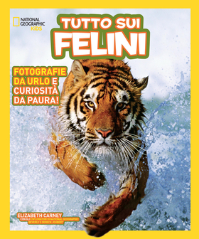 Tutto sui felini. Ediz. a colori