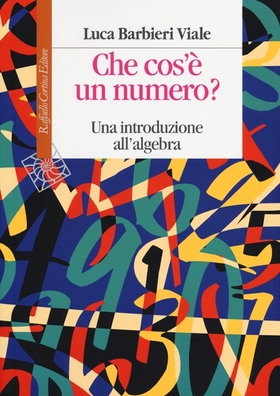 Che cos’è un numero. Un’introduzione all’algebra