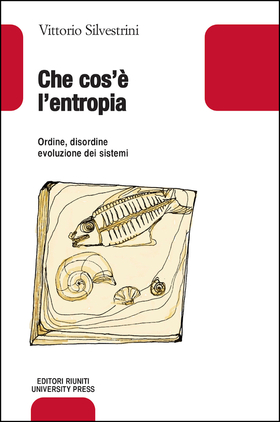 Che cos’è l’entropia. Ordine, disordine, evoluzione dei sistemi