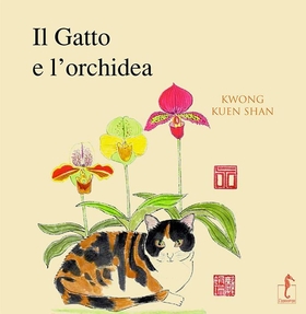 Il gatto e l’orchidea