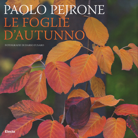 Le foglie d’autunno