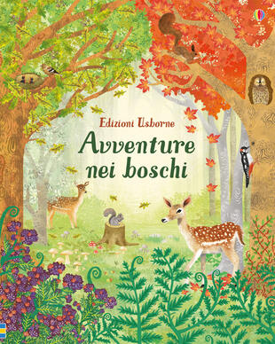 copertina Avventure nei boschi. Ediz. a colori