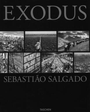 copertina Exodus. Ediz. illustrata