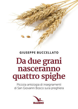 copertina Da due grani nasceranno quattro spighe. Piccola antologia di insegnamenti di San Giovanni Bosco sulla preghiera