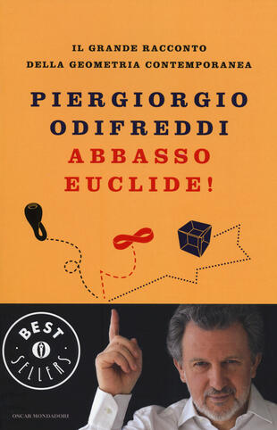 copertina Abbasso Euclide! Il grande racconto della geometria contemporanea. Ediz. illustrata