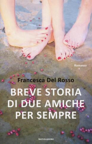 copertina Breve storia di due amiche per sempre