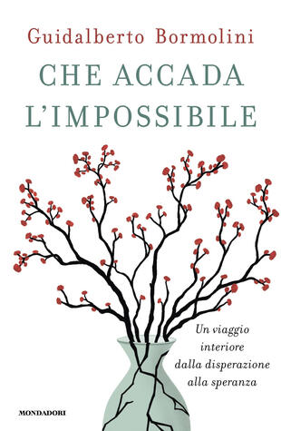 copertina Che accada l'impossibile. Un viaggio interiore dalla disperazione alla speranza