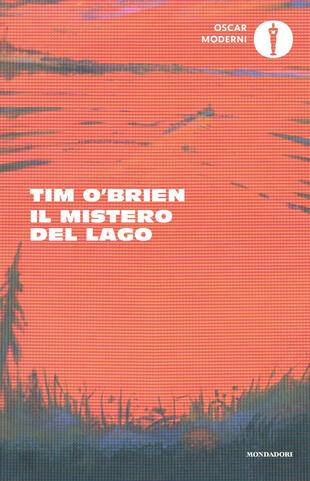 copertina Il mistero del lago