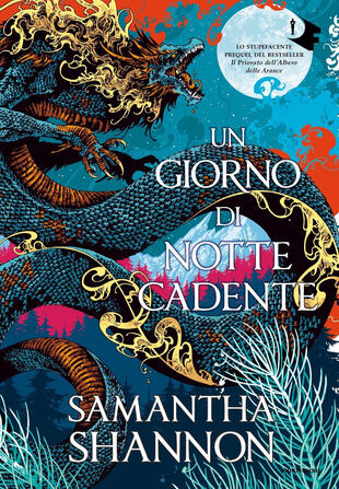 copertina Un giorno di notte cadente