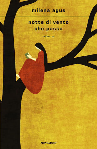 copertina Notte di vento che passa
