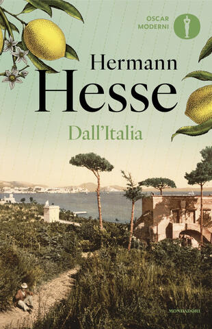 copertina Dall'Italia. Diari, poesie, saggi e racconti