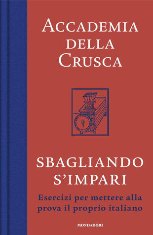 copertina Sbagliando s'impari. Esercizi per mettere alla prova il proprio italiano