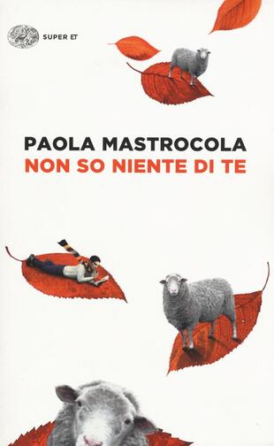copertina Non so niente di te