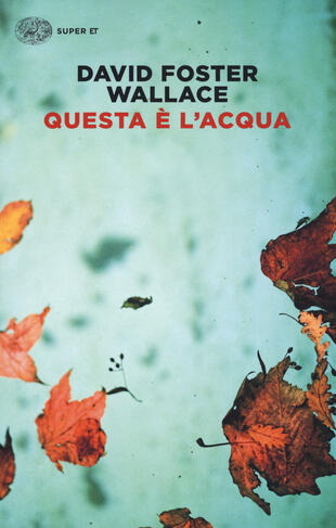 copertina Questa è l'acqua