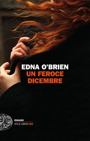 copertina Un feroce dicembre
