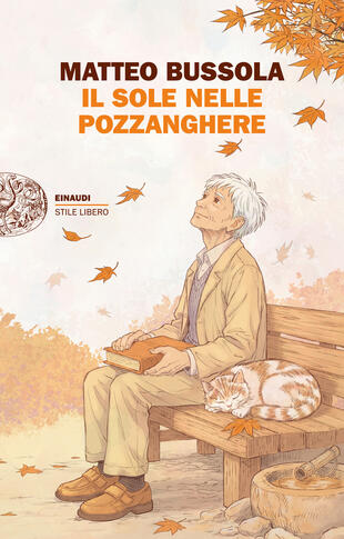 copertina Il sole nelle pozzanghere