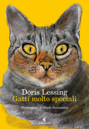copertina Gatti molto speciali