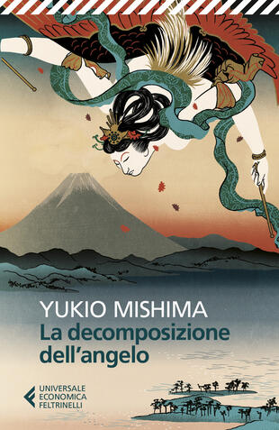 copertina La decomposizione dell'angelo