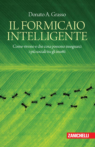 copertina Il formicaio intelligente. Come vivono e che cosa possono insegnarci i più sociali tra gli insetti