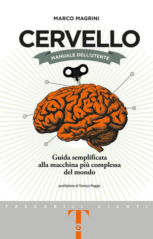 copertina Cervello. Manuale dell'utente. Guida semplificata alla macchina più complessa del mondo