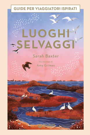 copertina Luoghi selvaggi. Guide per viaggiatori ispirati. Ediz. a colori