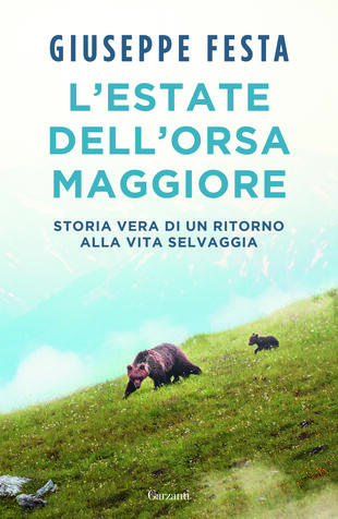 copertina L'estate dell'Orsa Maggiore