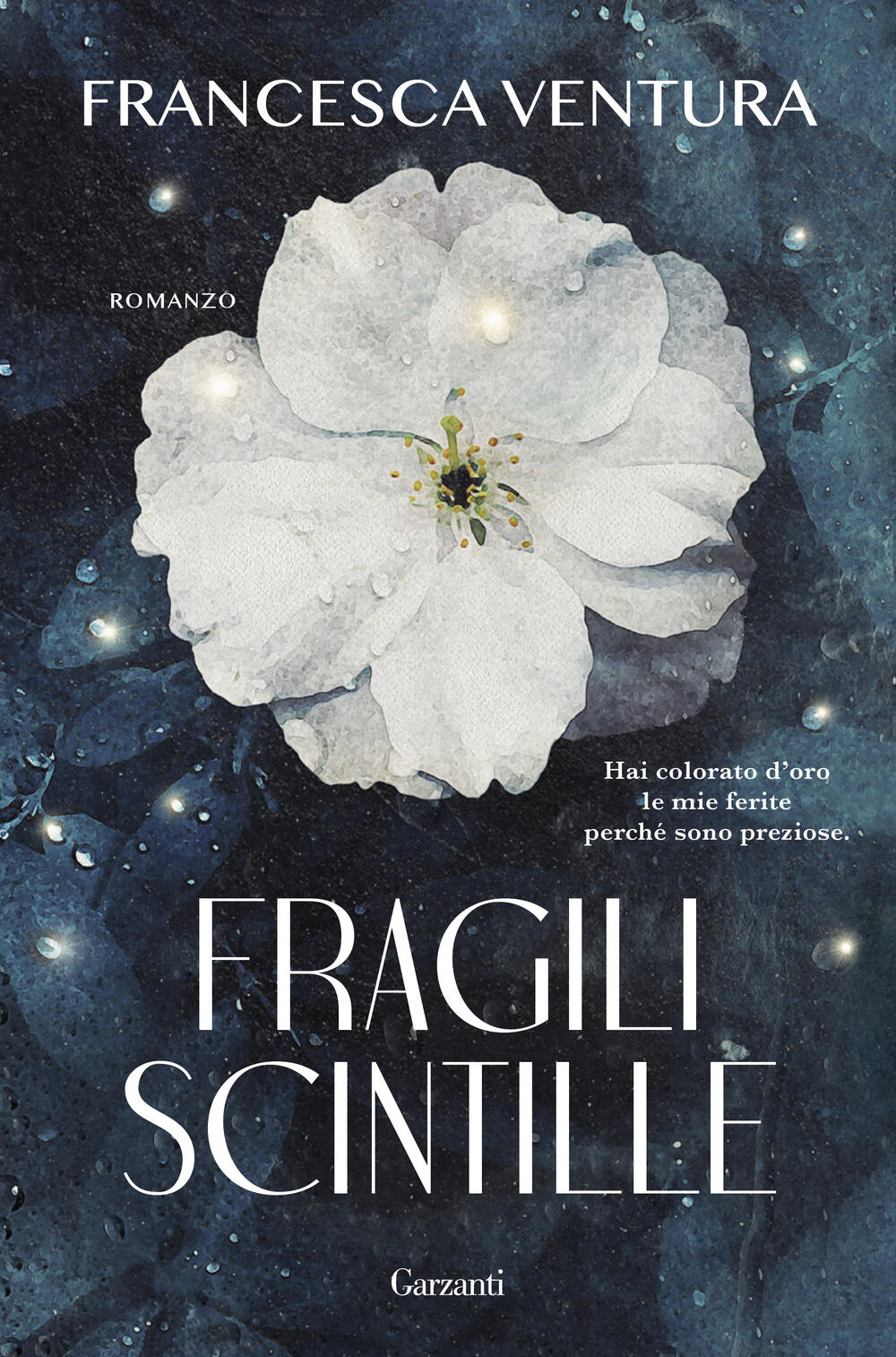 Fragili scintille di Francesca Ventura - Brossura - NARRATORI MODERNI - Il  Libraio