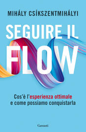 copertina Seguire il flow