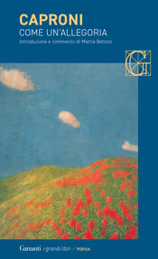 copertina Come un'allegoria