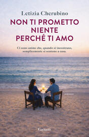 24808709 - Non ti prometto niente perché ti amo