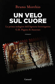 24816458 - Un velo sul cuore