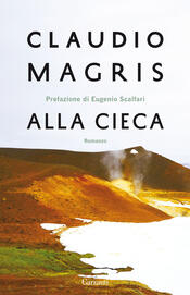 copertina Alla cieca