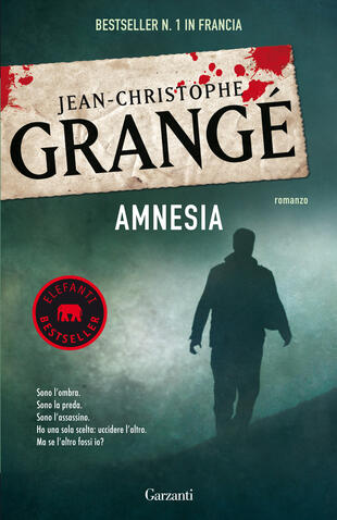copertina Amnesia