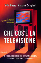 CHE COS’È LA TELEVISIONE