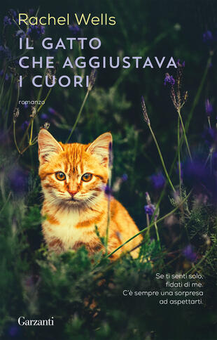 copertina Il gatto che aggiustava i cuori