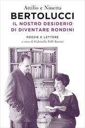 copertina Il nostro desiderio di diventare rondini