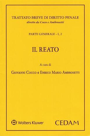 copertina Manuale di diritto penale. Parte generale