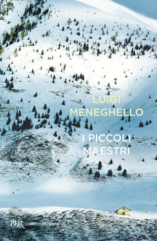 copertina I piccoli maestri