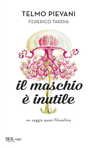 copertina Il maschio è inutile. Un saggio quasi filosofico