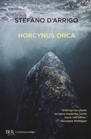 copertina Horcynus Orca