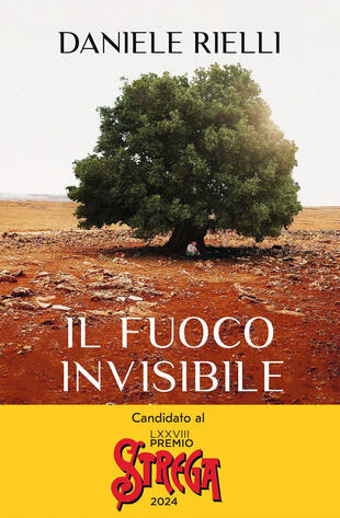 copertina Il fuoco invisibile. Storia umana di un disastro naturale