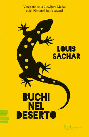 copertina Buchi nel deserto