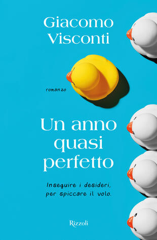 copertina Un anno quasi perfetto