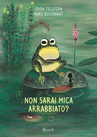 copertina Non sarai mica arrabbiato? Ediz. illustrata