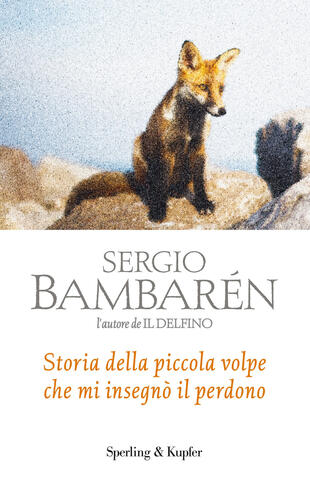 copertina Storia della piccola volpe che mi insegnò il perdono