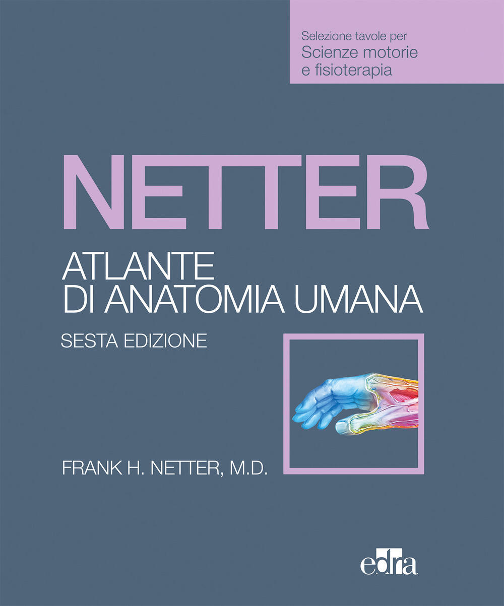 Netter. Atlante anatomia umana. Scienze motorie e fisioterapia di Netter  Frank H. - Il Libraio