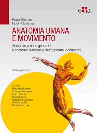 copertina Anatomia umana e movimento. Anatomia umana generale e anatomia funzionale dell'apparato locomotore